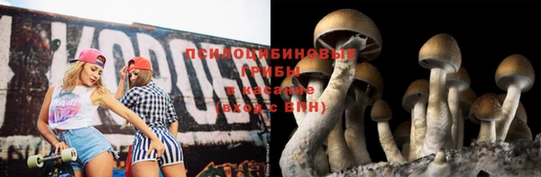ешки Гусь-Хрустальный