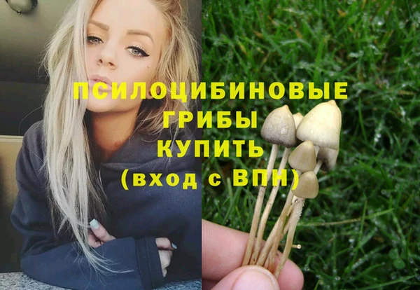 apvp Гусиноозёрск