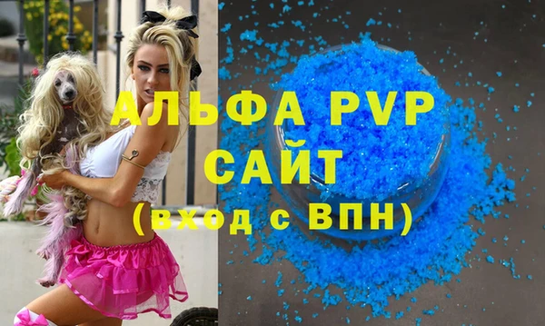 apvp Гусиноозёрск