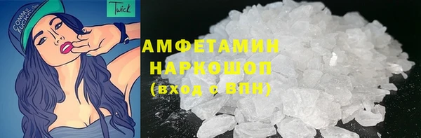 сатива Гусев