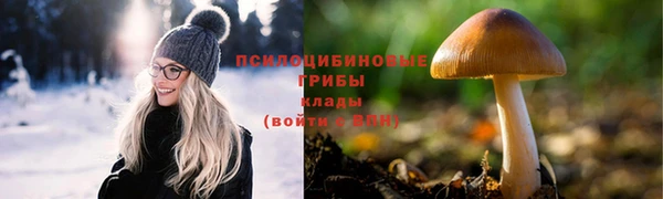 ешки Гусь-Хрустальный