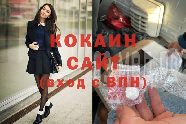 сатива Гусев