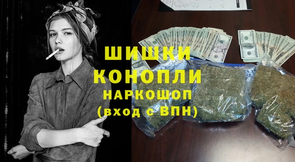 ешки Гусь-Хрустальный
