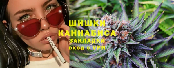 сатива Гусев