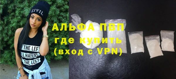 сатива Гусев