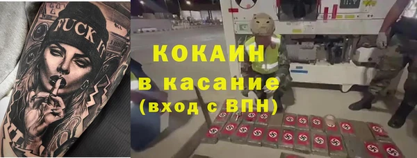 ешки Гусь-Хрустальный