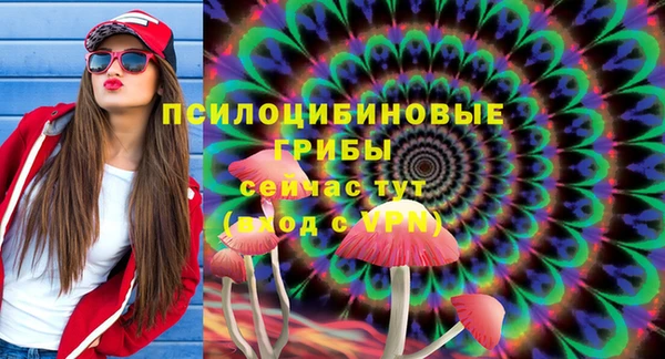 ешки Гусь-Хрустальный
