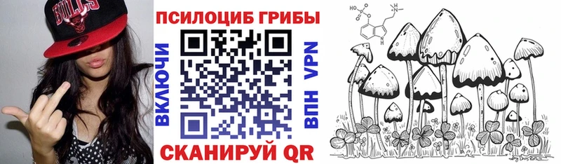 Псилоцибиновые грибы GOLDEN TEACHER Купить Лодейное Поле