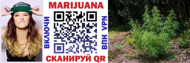 Бошки Шишки планчик  Купить закладки  Лодейное Поле 